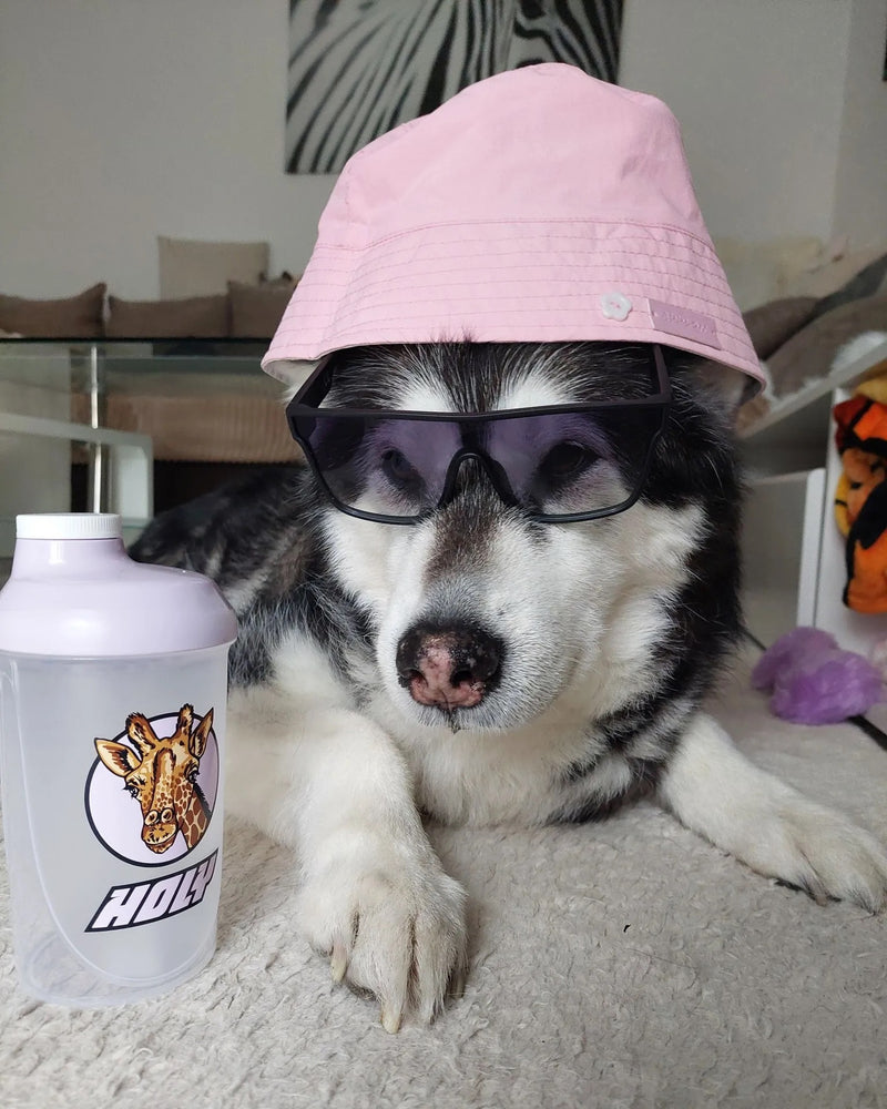 <p>Bardziej COOL zdjęcia nie znajdziesz! 😎</p>