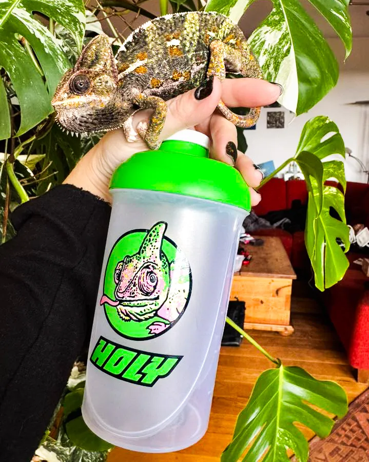 <p>Saba – kameleon należący do członkini HOLY Squadu ze swoim własnym shakerem! 🦎💚</p>