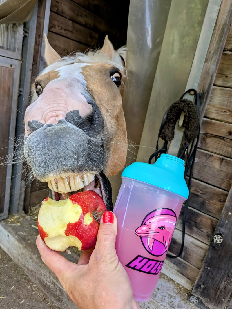 <p>HOLY w akcji - edycja końska! 🐎🤣</p>