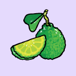 Thai Lime Toucan