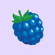 Blue Raspberry